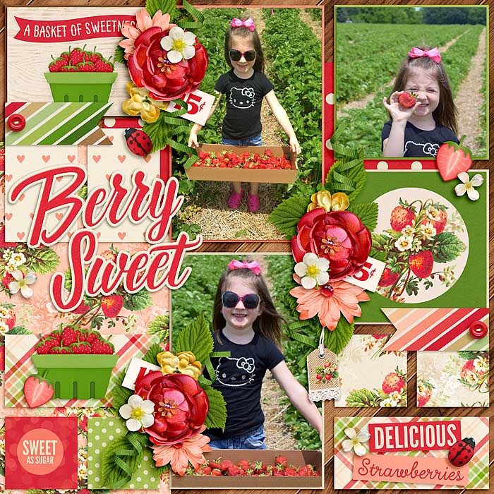Kaylee's Strawberries