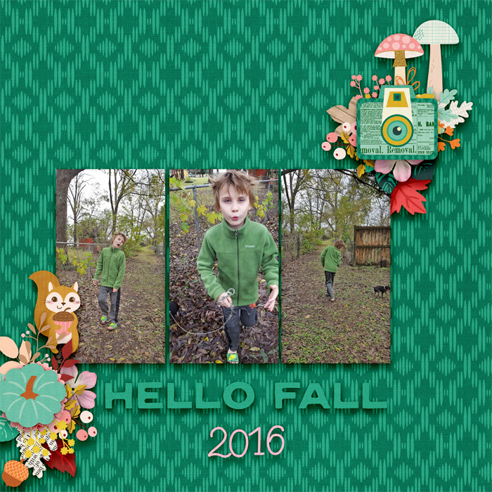 kbc-FallDetails