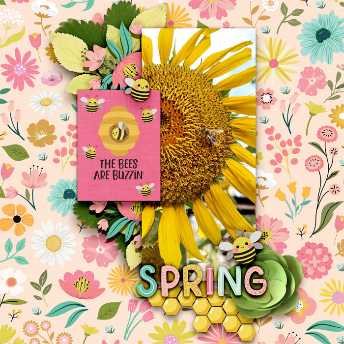 kbc-GodsSeasonsSpring-