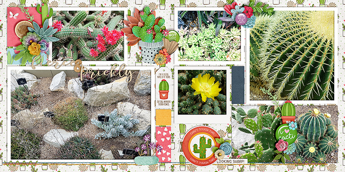 Kew's Cacti