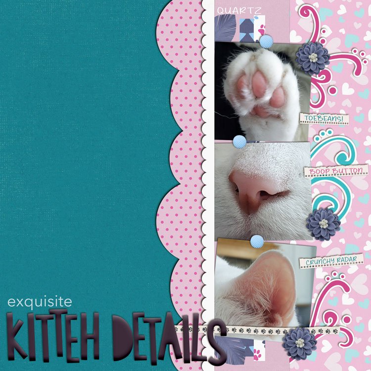 Kitteh Details