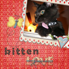 Kitten Love
