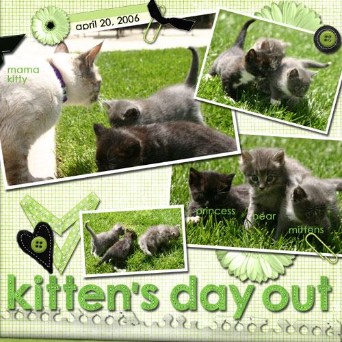 Kitten's Day Out