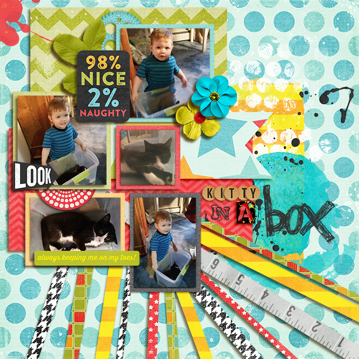 Kitty in a Box