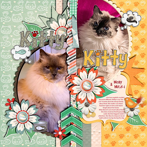 Kitty Kitty