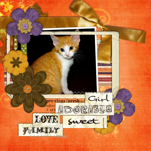Kitty Love