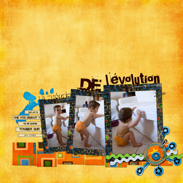 La thorie de l'volution