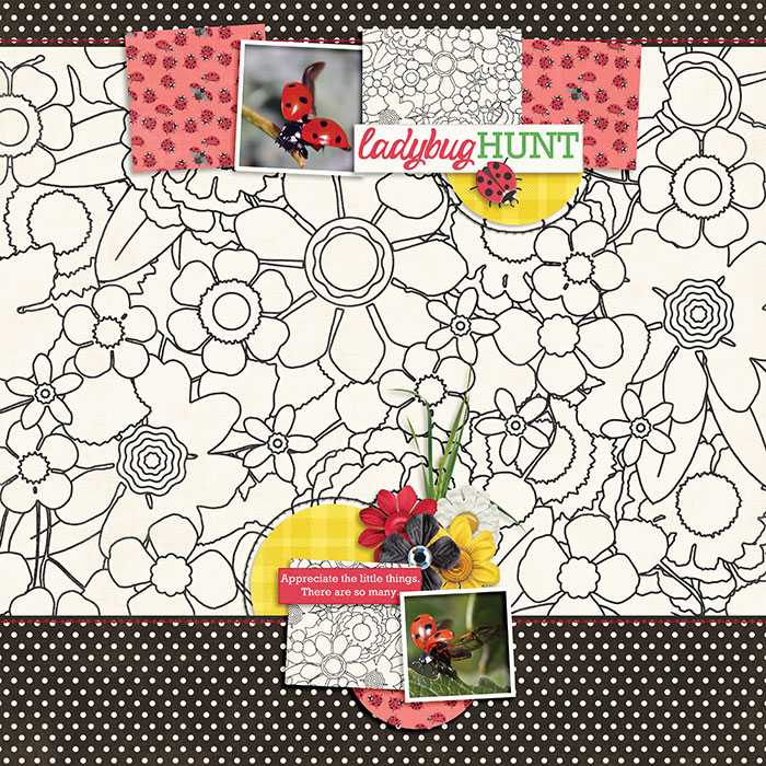 Ladybugs