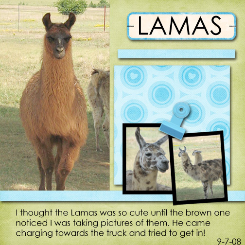 lamas