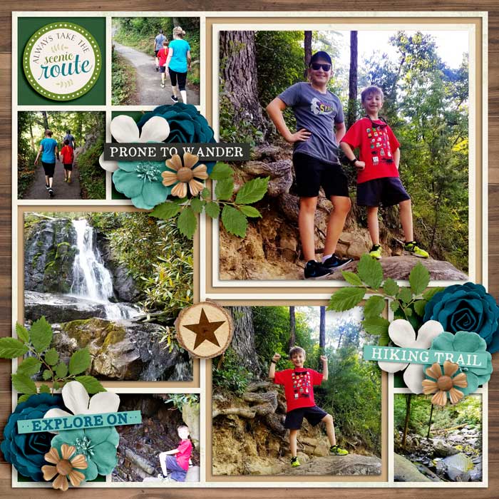 Laurel Falls