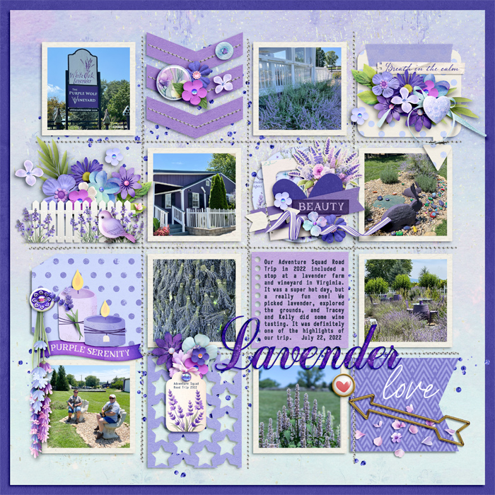 Lavender Farm