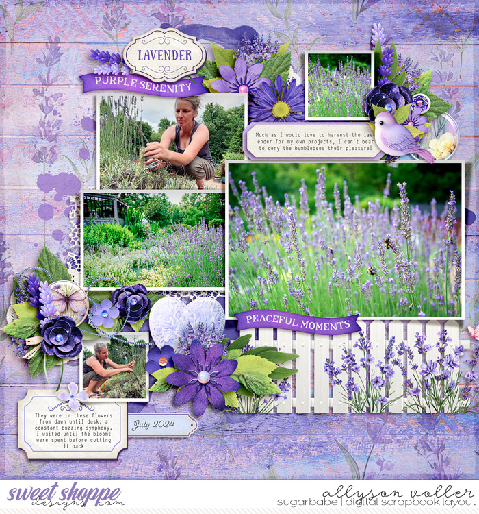 Lavender