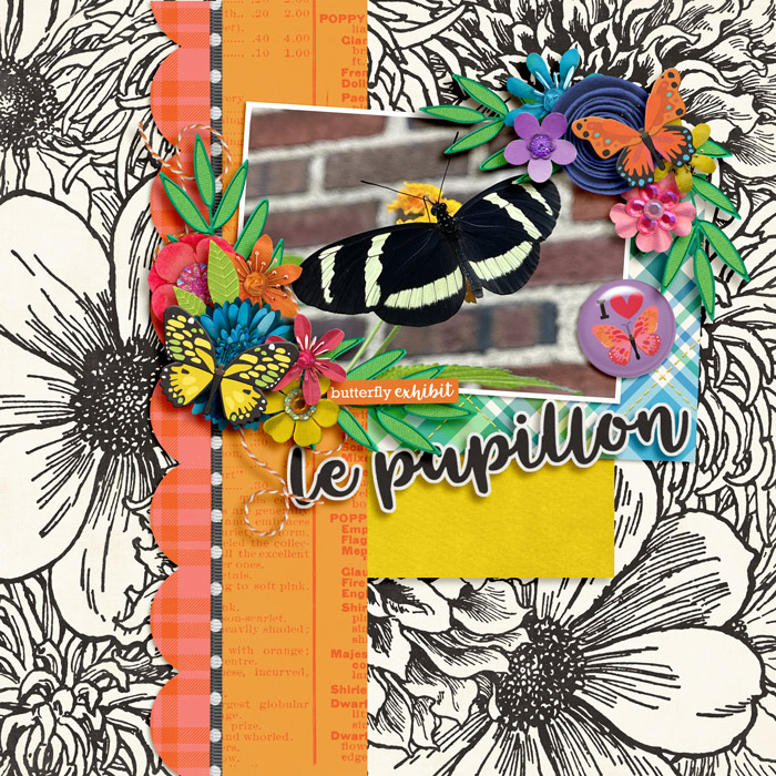 le papillion