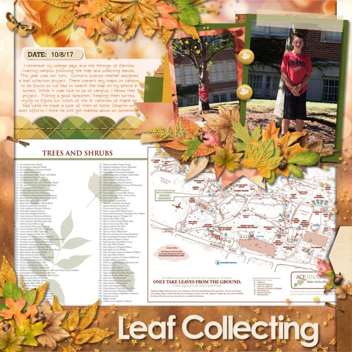 Leaf Collecting