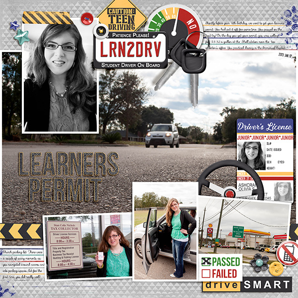 Learners Permit