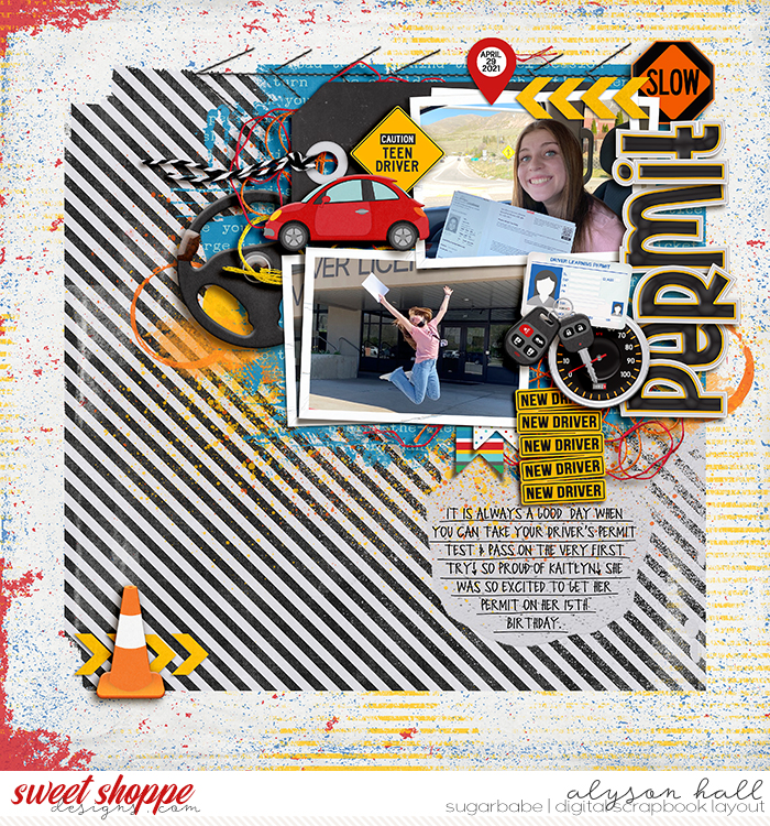 Learners Permit