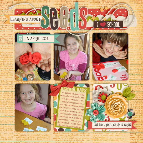 Learning about SEEDS
