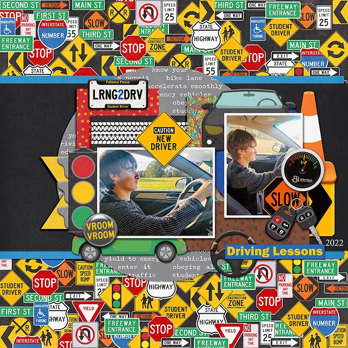 Learning to Drive