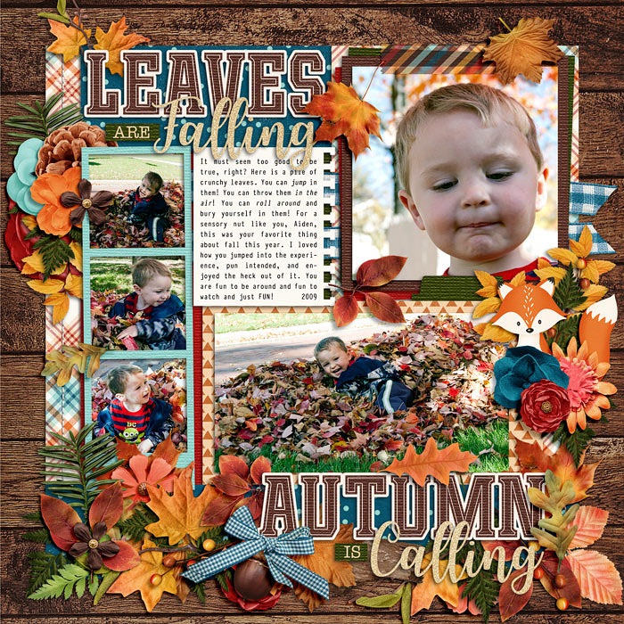 Leaves are Falling