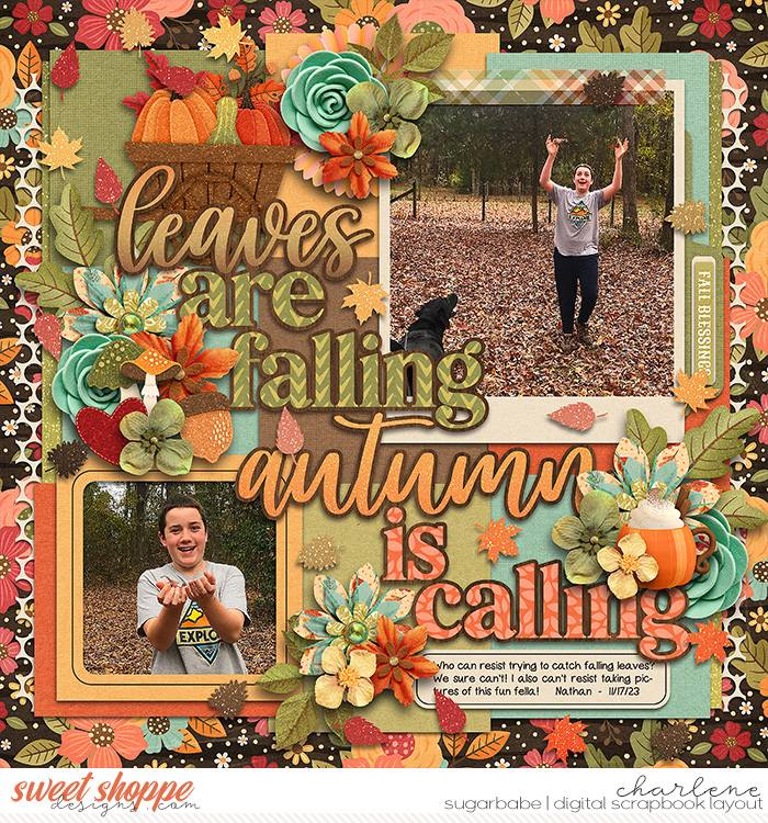 Leaves Are Falling
