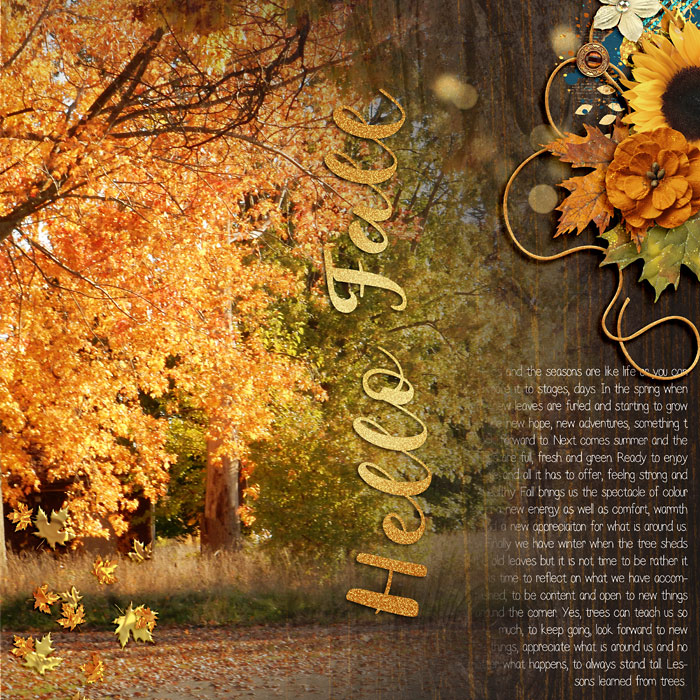 Lessons Learned From Trees