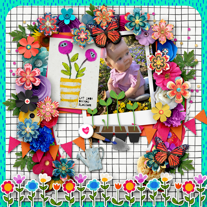 Let Your Dreams Bloom
