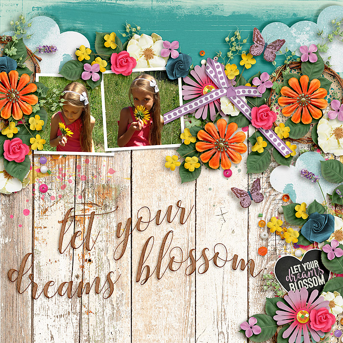 Let Your Dreams Blossom