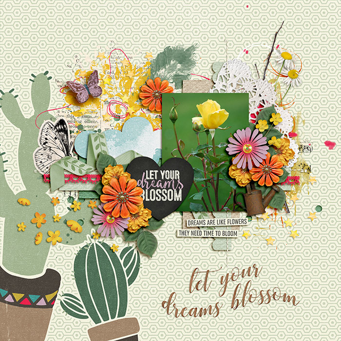 Let Your Dreams Blossom