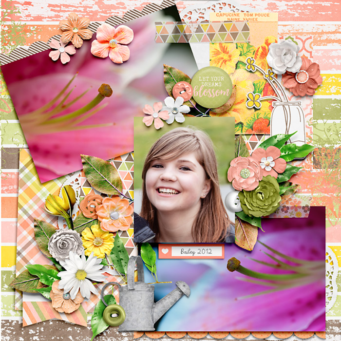Let Your Dreams Blossom