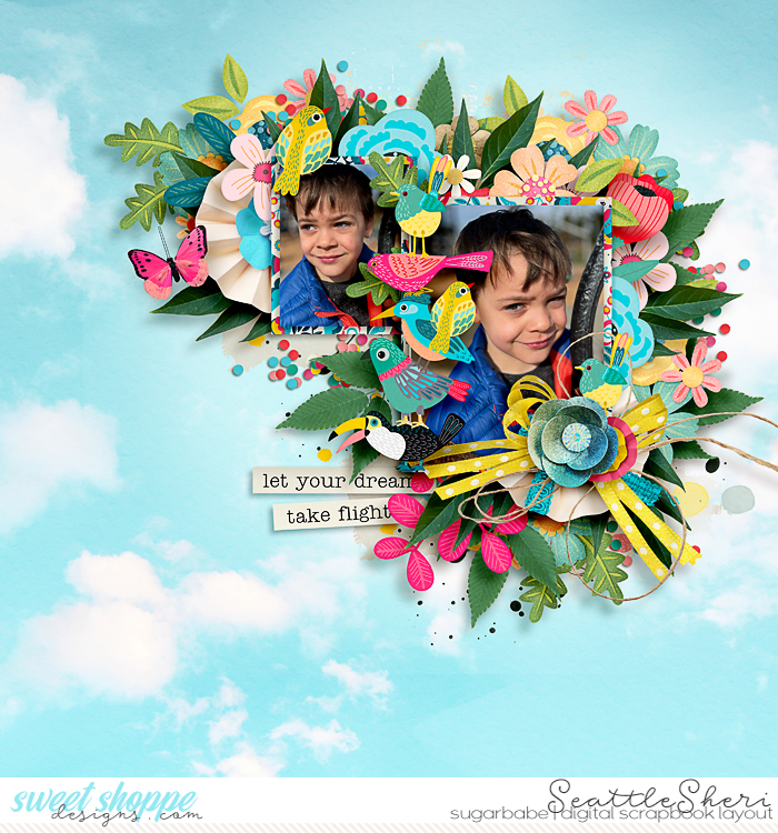 Let your Dreams Take Flight