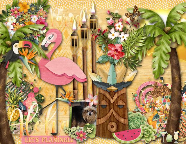 Let's Flamingle