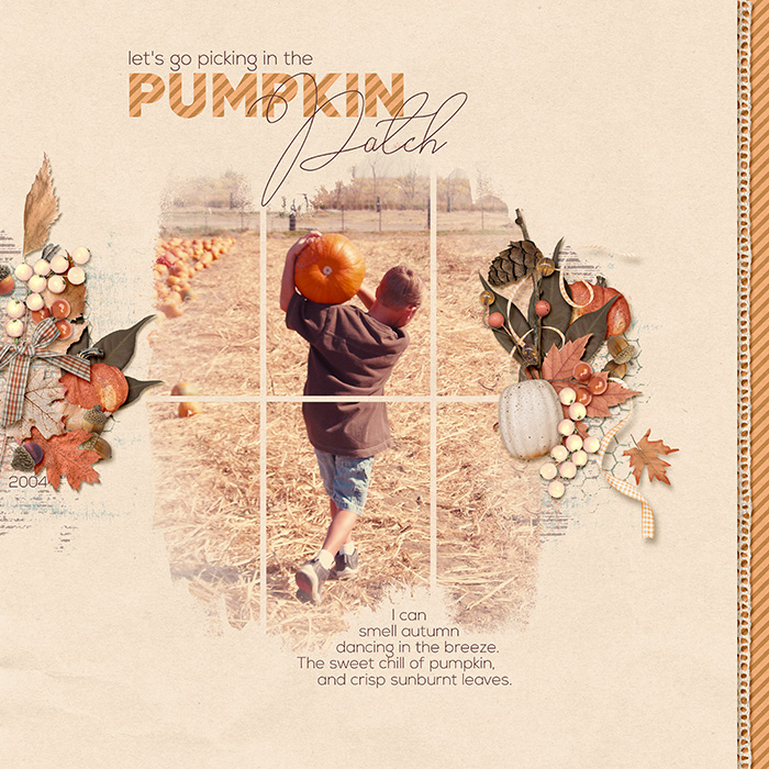 Let's Go Picking in the Pumpkin Patch