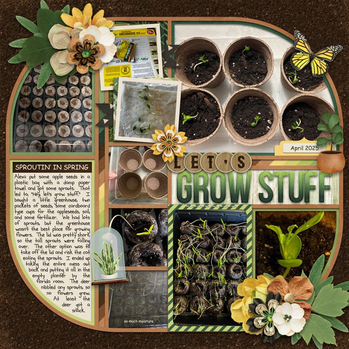 Let's Grow Stuff
