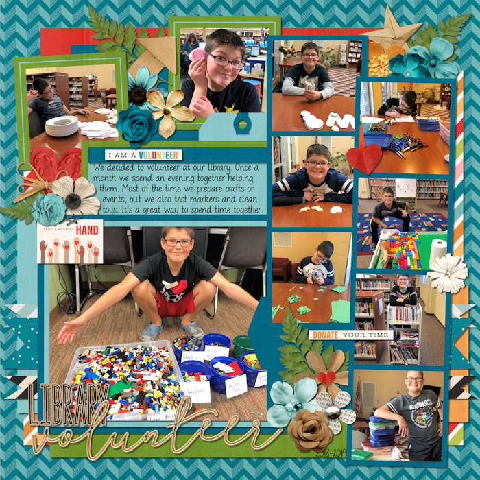 Library Volunteer