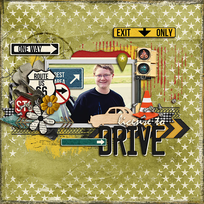 License to Drive
