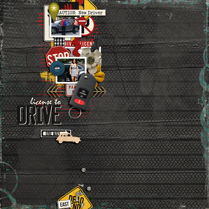 License to Drive