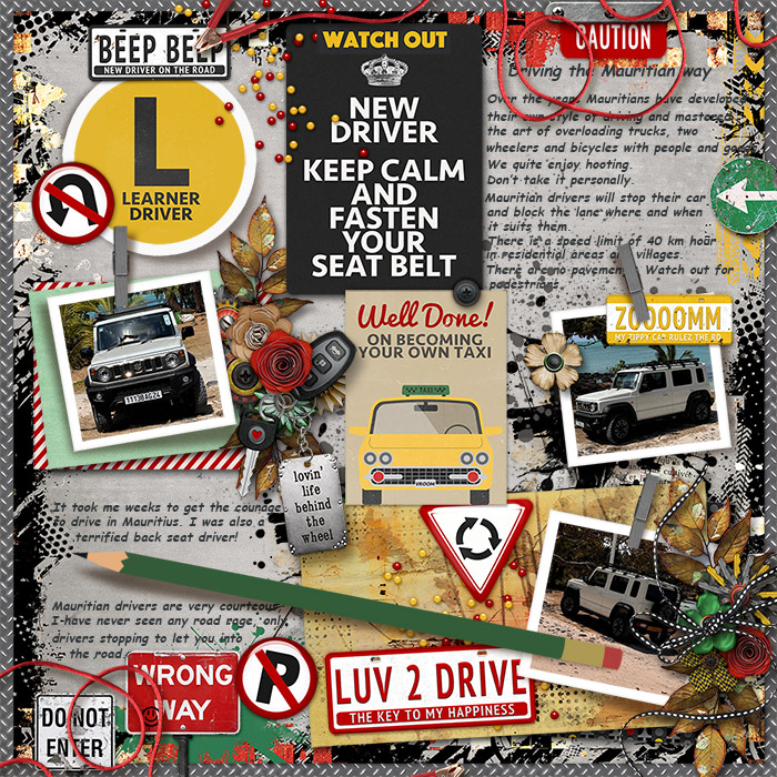 License to drive