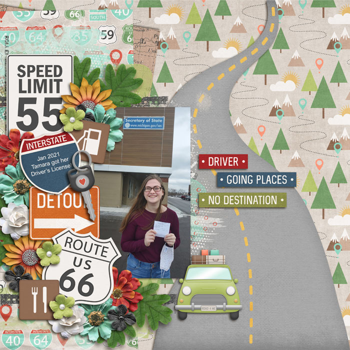 License to Drive