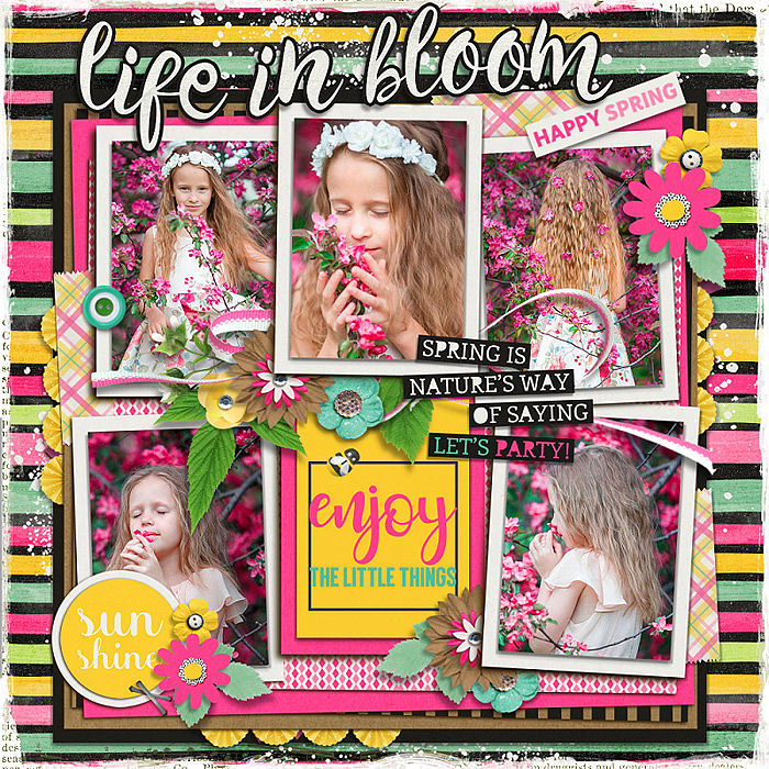 Life In Bloom