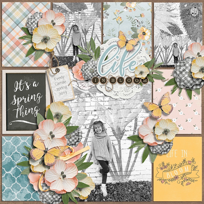 Life in bloom