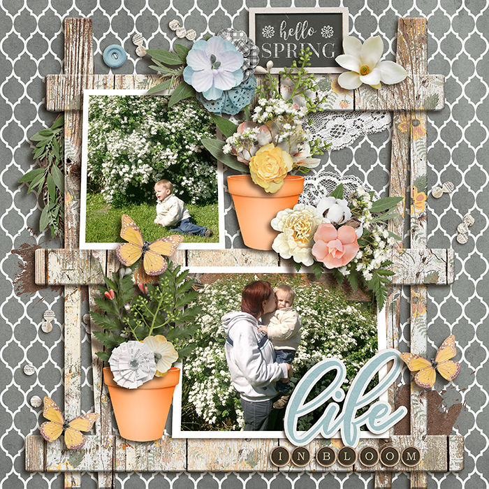 Life in bloom