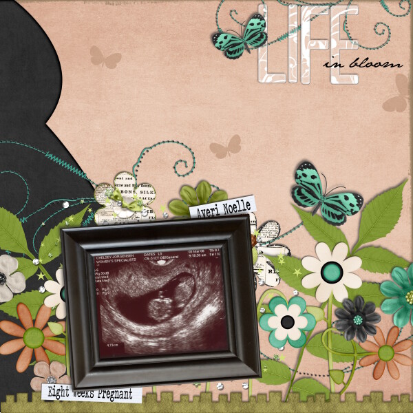 Life in Bloom