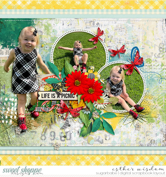 Life is a Picnic