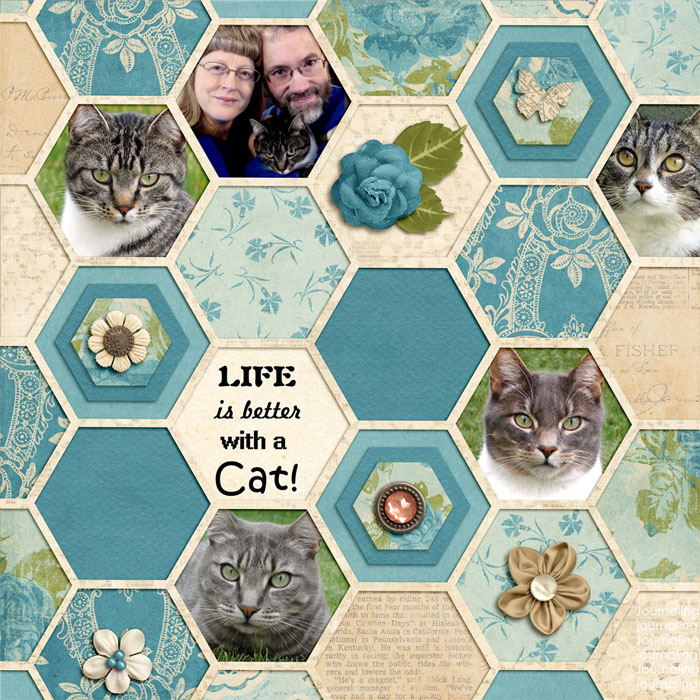 Life is better with a cat!
