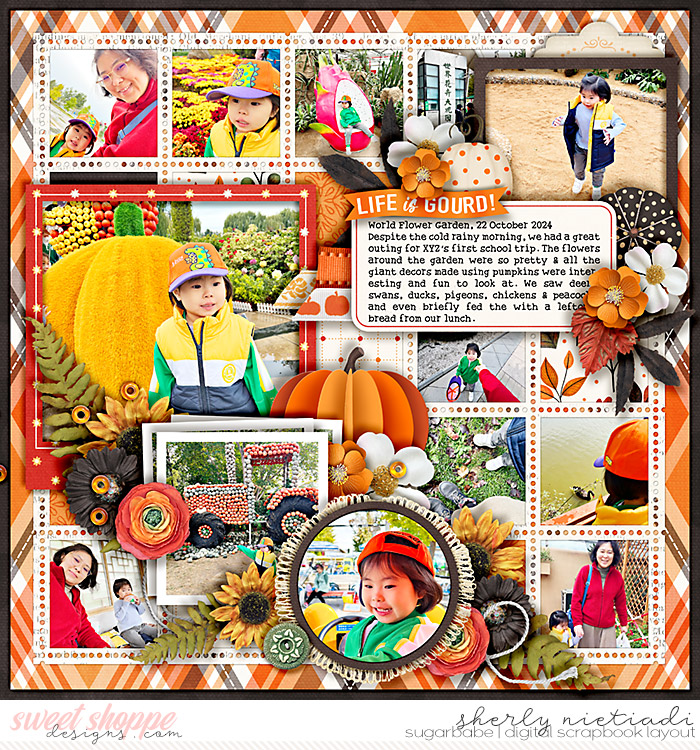 life is gourd