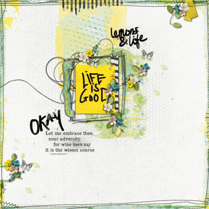 life & lemons