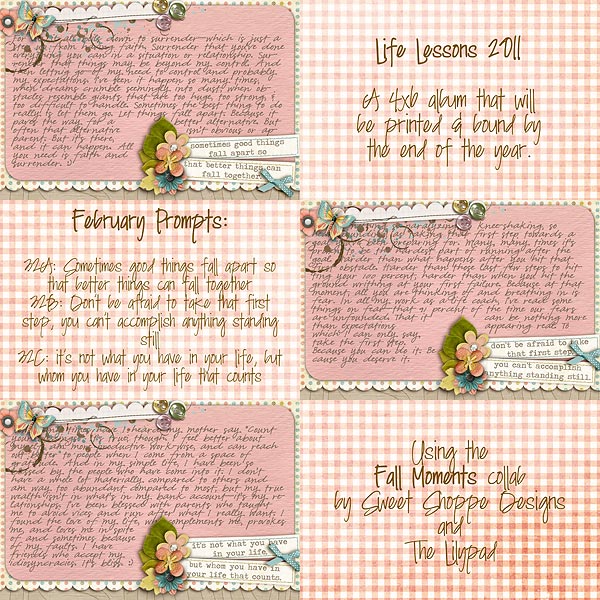 life lessons: february 2011
