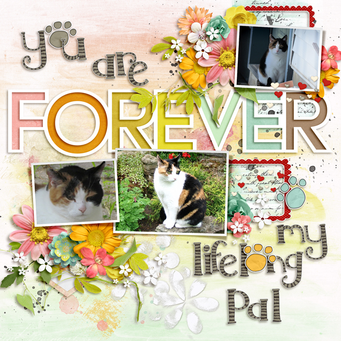 Lifelong pal