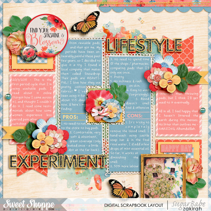 Lifestyle Experiment