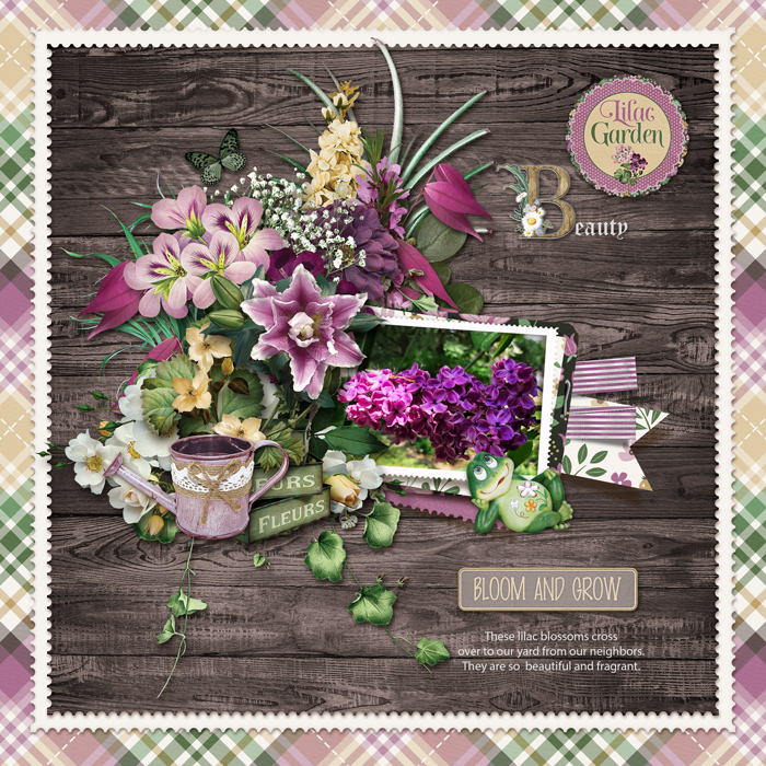 Lilacs